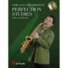 Perfection Studies (Japanese version)