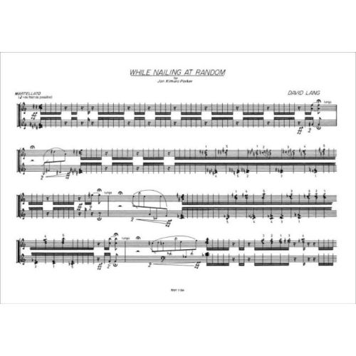 Lang, David - While Nailing At Random