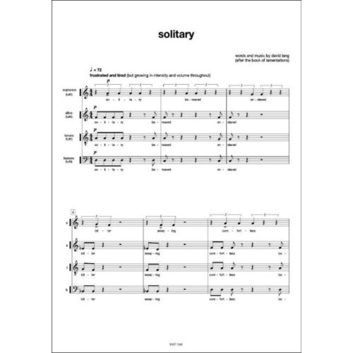 Lang, David - Solitary after the book of lamentations
