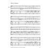 Hellbach & Hellbach - Flying Fingers - Begleitungen Vol. 2