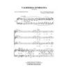 Donaudy, Stefano - Vaghissima Sembianza