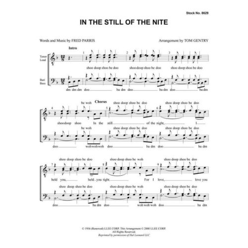 In the Still of the Nite