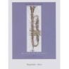 Plog, Anthony - Method for Trumpet - Bk. 5 Book 5