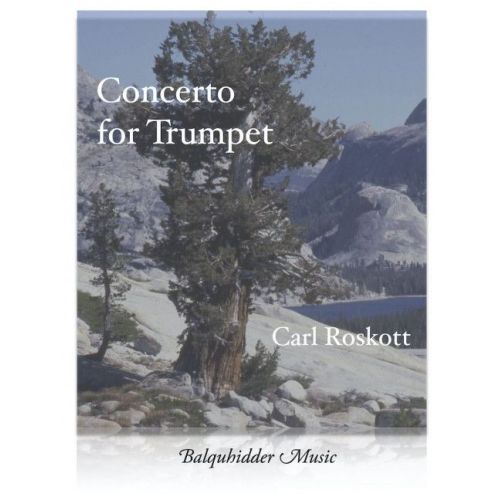 Roskott, Carl - Concerto...