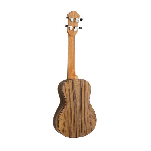 Ashbury AU-89CZ Concert Ukulele