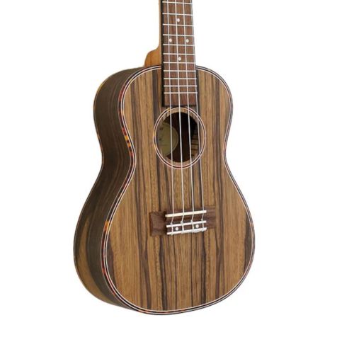 Ashbury AU-89CZ Concert...