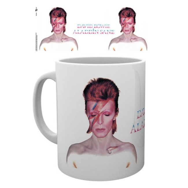 David Bowie Aladdin Sane Boxed Mug