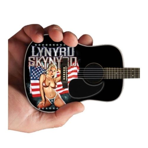 Lynyrd Skynyrd - Acoustic Guitar