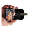 Lynyrd Skynyrd - Acoustic Guitar