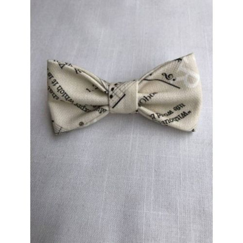 Hair Bow Tie With A French...