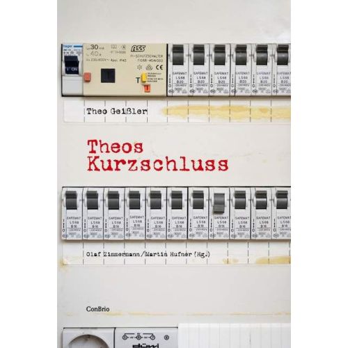 Theos Kurzschluss