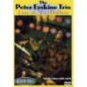 Peter Erskine Trio Live At Jazz Baltica