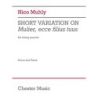 Muhly, Nico - Short Variation on Mulier, ecce filius tuus