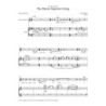 Muhly, Nico - The Mezzo-Soprano's Song