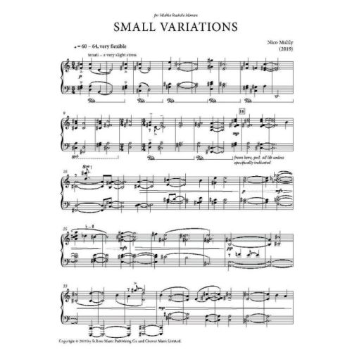 Muhly, Nico - Small Variations