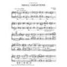 Muhly, Nico - Small Variations