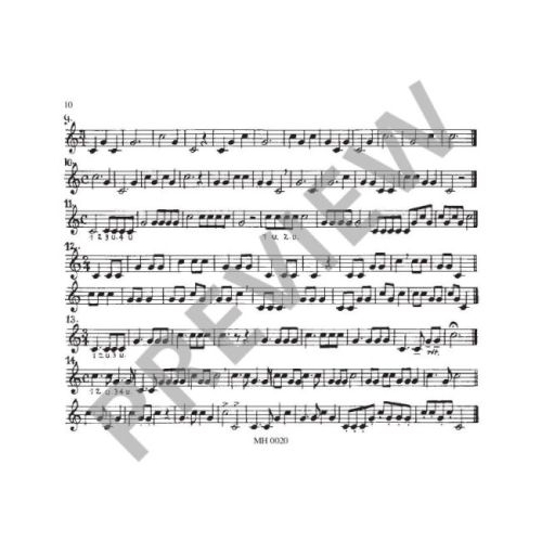 Benzinger, Karl - Schule für Fürst-Pless-Horn Book 1