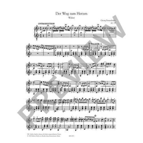 Successful Zither Pieces Book 1