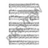 Successful Zither Pieces Book 1