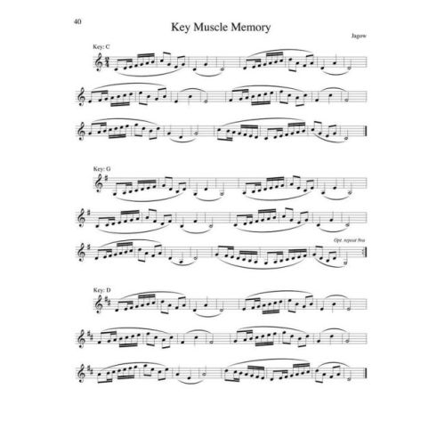 Intermediate Studies for Developing Artists