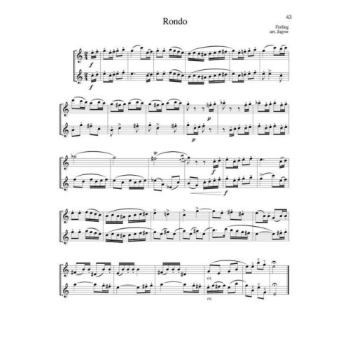 Intermediate Studies for Developing Artists