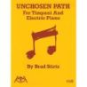 Stirtz, Brad - Unchosen Path