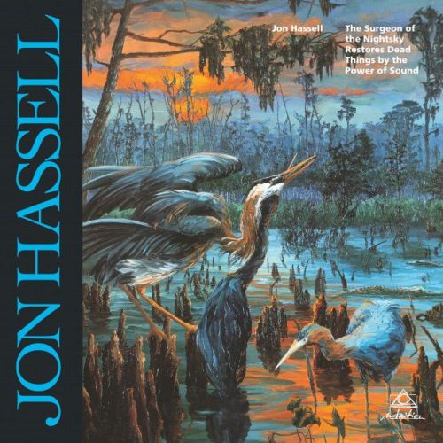 Jon Hassell - The Surgeon...