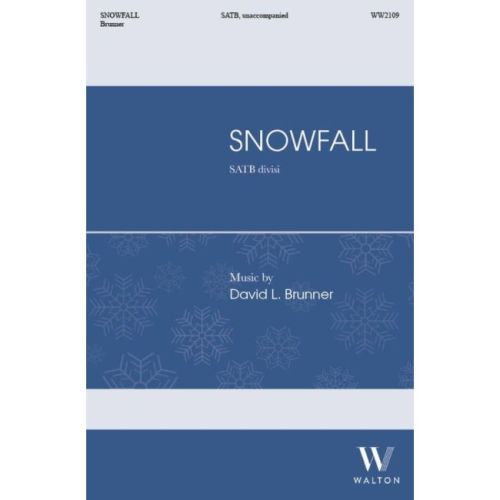 David L. Brunner - Snowfall