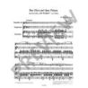 Schubert, Franz - Shepherd on the Rock