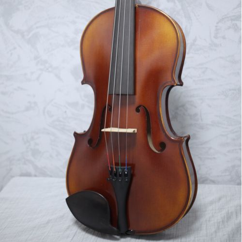 Gewa Allegro Viola 15.5"