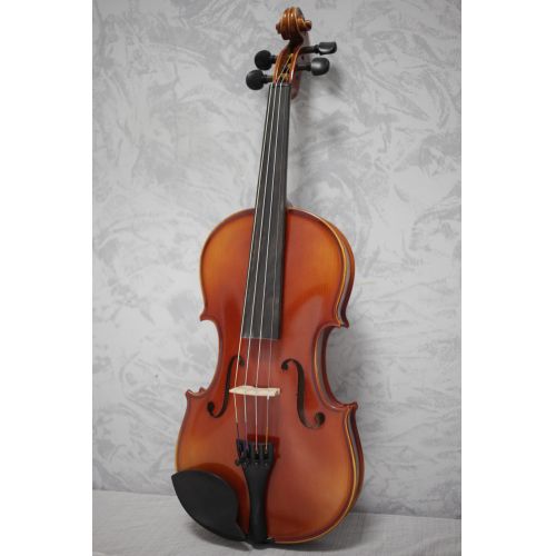 Gewa Ideale Violin Outfit