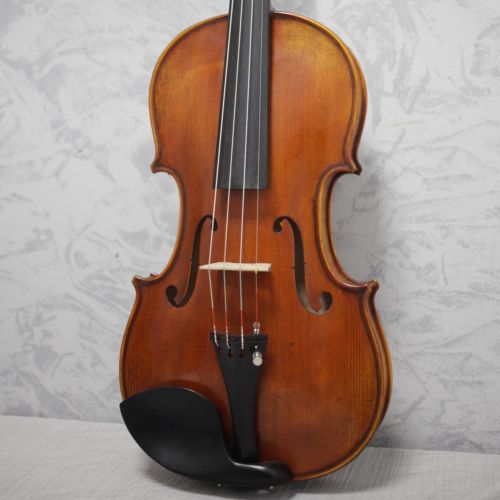 Eastman Young Master Violin