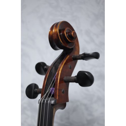Eastman Concertante Stradivari Pattern Cello