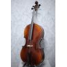 Eastman Concertante Antique Montagnama pattern Cello