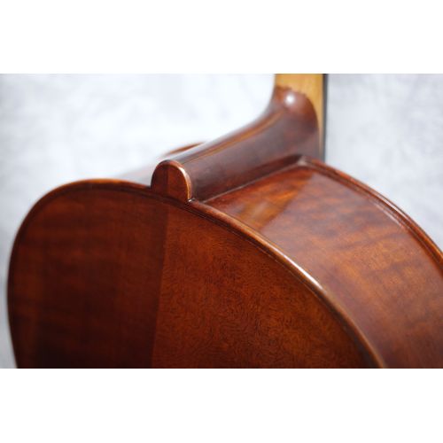 Eastman Concertante Antique Montagnama pattern Cello