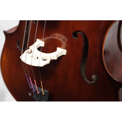 Eastman Concertante Antique Montagnama pattern Cello