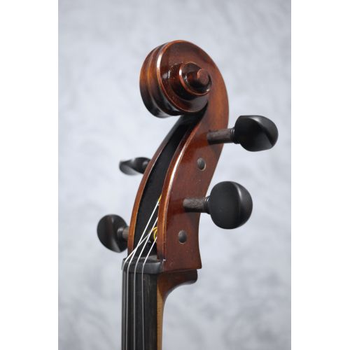 Eastman Concertante Antique Montagnama pattern Cello