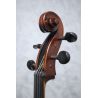 Eastman Concertante Antique Montagnama pattern Cello
