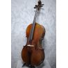 Eastman Young Master 7/8 size Cello