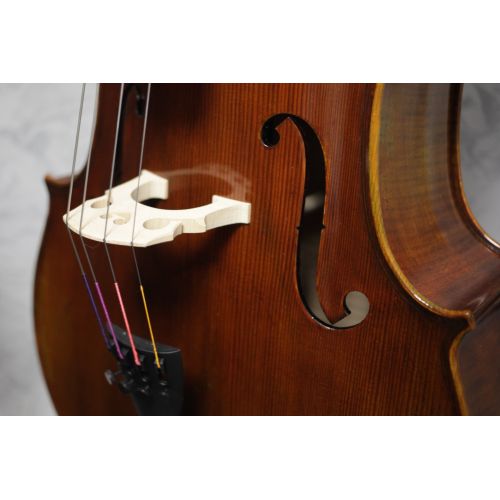 Eastman Young Master 7/8 size Cello