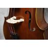 Eastman Young Master 7/8 size Cello