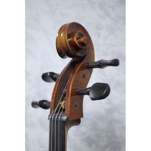 Eastman Young Master 7/8 size Cello