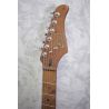Cort G250 SE Olive Dark Green