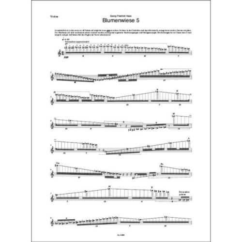 Haas - Blumenwiese 5