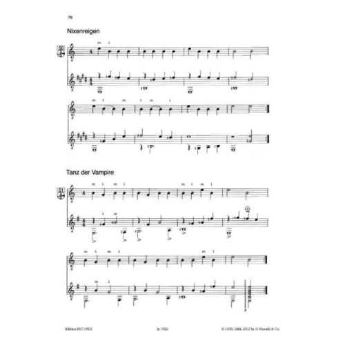 Meine Gitarrenfibel 2