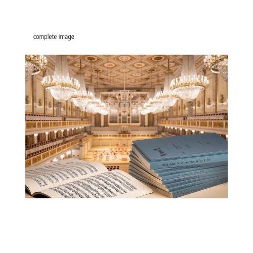 Puzzle - Concert Hall