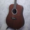 Tanglewood TE5BL Elemental Dreadnought