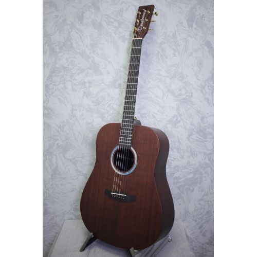 Tanglewood TE5BL Elemental Dreadnought