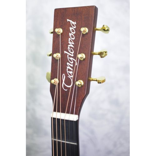 Tanglewood TE5BL Elemental Dreadnought