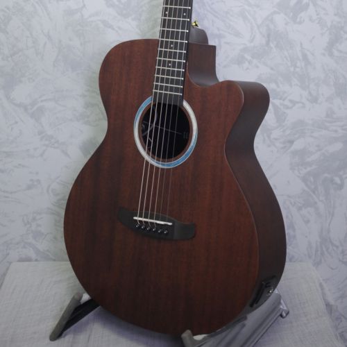 Tanglewood Elemental...